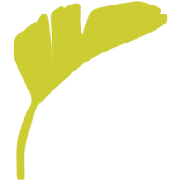 Green tropical leaves. png