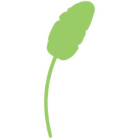 Green tropical leaves. png