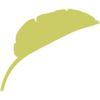 Green tropical leaves. png