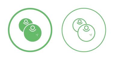 Berries Vector Icon