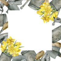 aguarela mão desenhado quadrado quadro, Armação com jardim Ferramentas e flores amarelo narciso narcisos, espátulas, lata pode, pá, e tesouras para floral comprar, jardim projeto, rótulo, logotipo png