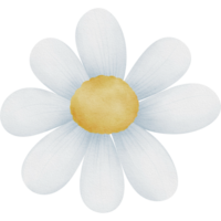 daisy blommor, grön löv, transparent bakgrund, blommig arrangemang, bukett, ClipArt png