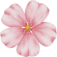 Rosa Blumen, Grün Blätter, transparent Hintergrund, Blumen- Anordnung, Strauß, Clip Art png