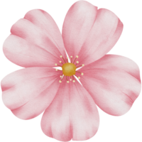 rosado flores, verde hojas, transparente fondo, floral acuerdo, ramo, clipart png