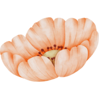 Pastell- Blumen, Grün Blätter, transparent Hintergrund, Blumen- Anordnung, Strauß, Clip Art png