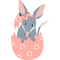 Cute Easter bilby in egg. png