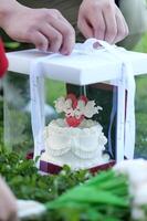 a person placing a cake in a clear box photo