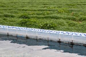 Water tank for agricultural irrigation, with space for text photo