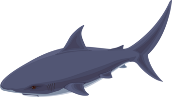 Shark.Underwater cute marine wildlife . png