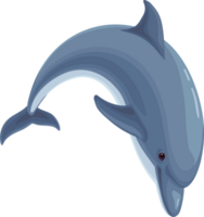 dolphin.sea life.sea animaux, élément d'illustration. png