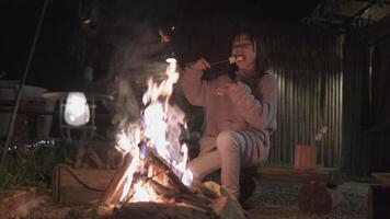 1 pequeno ásia menina assado marshmallow churrascos dentro a chama às fogueira, uma noite acampamento excursão férias, natureza Aprendendo experiência, ao ar livre estilo de vida feriado, e campo aventura viagem. video