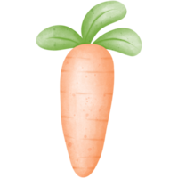 Pasqua carota clipart, carota clipart, Pasqua clipart. png