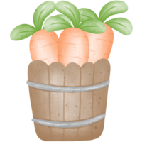 un' di legno secchio pieno di carote. png