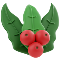 Mistletoe 3D Illustration for web, app, infographic, etc png