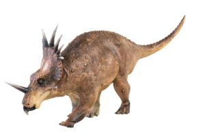 styracosaurus dinosauro su isolato sfondo png
