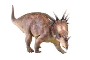 Styracosaurus dinosaur on isolated background png