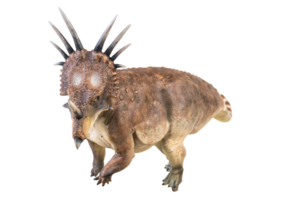 styracosaurus dinosauro su isolato sfondo png