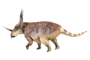 Styracosaurus Dinosaurier auf isoliert Hintergrund png