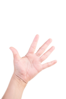 one hand on isolated background clipping path .Hands are counting numbers png