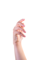 one hand on isolated bakground clipping path png