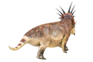 Styracosaurus dinosaur on isolated background png