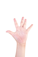 one hand on isolated background clipping path .Hands are counting numbers png