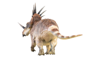 styracosaurus dinosaurio en aislado antecedentes png
