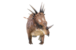 Styracosaurus dinosaur on isolated background png