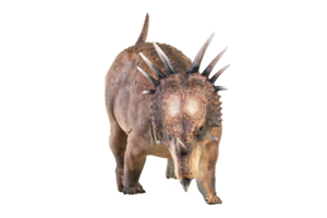 styracosaurus dinosauro su isolato sfondo png