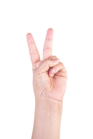 one hand on isolated background clipping path .Hands are counting numbers png