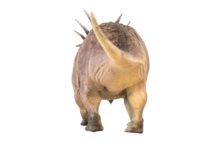 styracosaure dinosaure sur isolé Contexte png