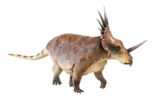 styracosaurus dinosauro su isolato sfondo png