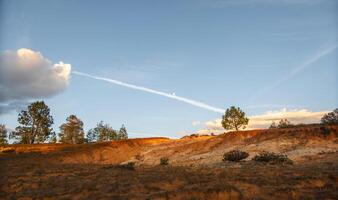 Landscape with pine trees and dunes in Mexico with moon in the sky and space for text photo