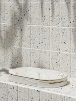 White marble platform with white top on Terrazzo tiles in a sunny bathroom. 3D rendering photo