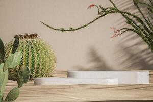 White concrete pallets in the middle of the desert scene, blurred cactus in the foreground. product presentation mockup. 3D rendering photo