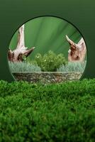 Green marble middle the small plants garden and green circle frame. Abstract mockup scene for presentation. 3D rendering photo