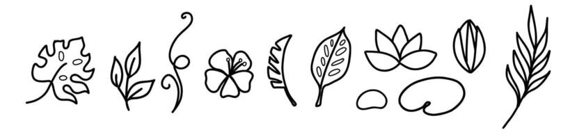 Simple hand drawn tropical floral vector design elements in doodle style. Set of leaves, flowers and branches. For pattern, logo or decoration.