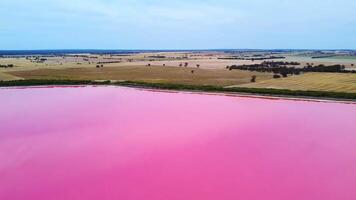 Footage Aerial view of Dimboola pink lake Nature Reserve of western Victoria, Australia,  the Pink Lake gets its vibrant colour from a salt tolerant alga living in the salt crust. video