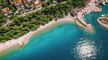 Aerial view of a beach with turquoise sea waters. Shoreline hugged by verdant foliage of pine trees and dotted with leisure boats. Summer Croatia. video