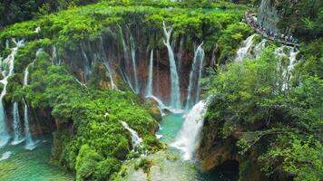 verano paisaje con cascadas en plitvice lagos nacional parque Croacia. montaña paisaje con muchos corrientes de agua. video