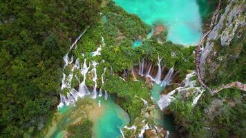 Alto cascata e rio córregos fluindo e queda abaixo. aéreo topo baixa Visão do exuberante verde penhasco dentro denso montanha floresta. Primavera água. video