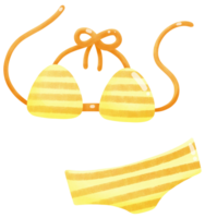 estate bikini con corda reggiseno e mutandine png