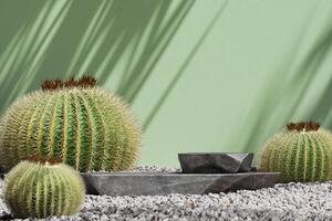 Black stone slabs in rock garden and cactus with green background, product presentation mockup. 3D rendering photo