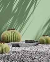 Black stone slabs in rock garden and cactus with green background, product presentation mockup. 3D rendering photo