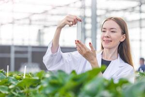 scientist working in organic agriculture farm research new chemical formula extract from plant for medical concept. photo