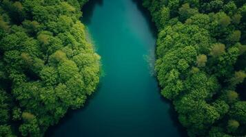 AI generated Top view of beautiful island with sand beach ,aerial drone shot, Generative AI photo