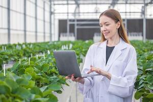 científico trabajo coleccionar grabar planta granja crecer datos en computadora base de datos para agricultura investigación Ciencias educación foto