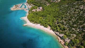 paesaggio marino e pino albero foresta su roccioso costa con bianca sabbioso spiaggia nel Croazia makarska Riviera. video