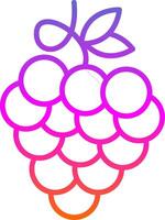 Zinfandel Grapes Line Gradient Icon vector