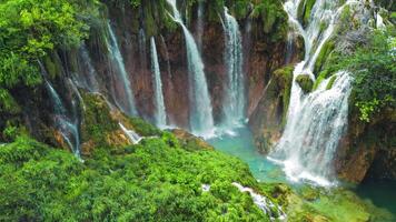 cascades dans vert Montagne forêt paysage avec ruisseaux de l'eau. cascades couler parmi luxuriant verdure dans printemps ou été. video